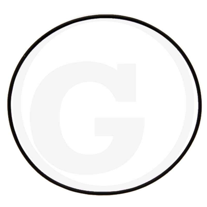 O-Ring